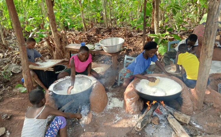  Transformation de manioc en gari et tapioca 